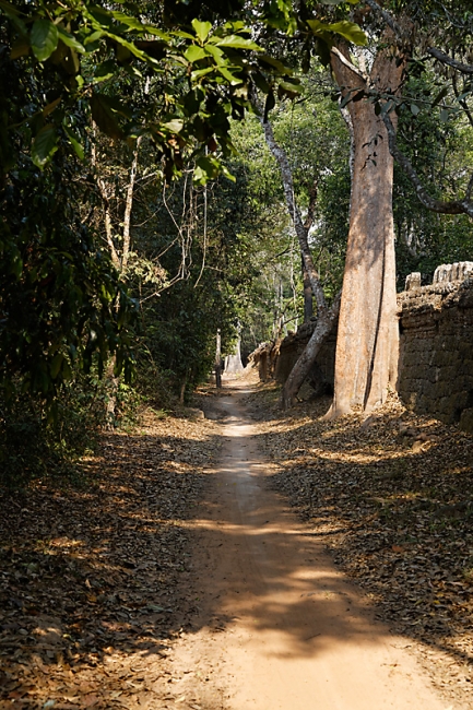 Ta Phrom et environs-001
